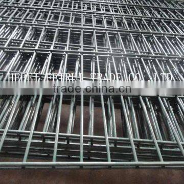 Double Wire Fencing/Double Wire Mesh Fence 8+8+6mm (factory &/Exporter)