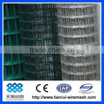 PVC Coated Holland Wire Mesh Fence Manufacturer&Exporter photo-6
