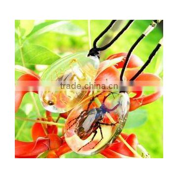 Lively real insect resin-Hotsale