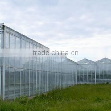 Fiberglass sheet for greenhouse