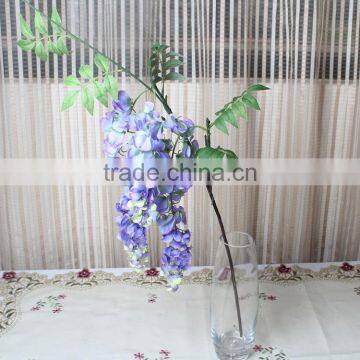CHY012818 Wisteria Blossom Flower photo-4