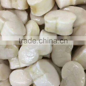 Frozen sea scallop in good quality no chemical treated