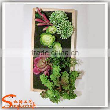 Famous Designer in China Wholesale Dry Vertical Garden Green Wall photo-3