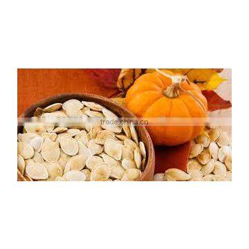 Pumpkin Seeds