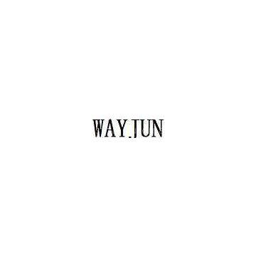 Shenzhen Wayjun Industrial Automation