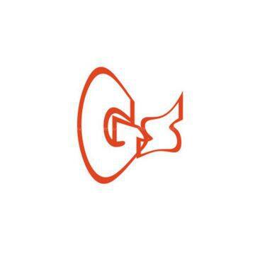 Shijiazhuang Golden Sun International Corp. Ltd.