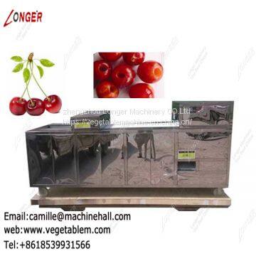 Cherry Stone Removing Machine |Cherry Pitting Machine for Sale|Plum Pit Remover