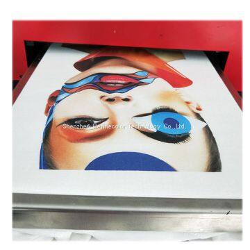 Refinecolor Cheap Dtg Printer for T-shirt A3 Garment Printer Machine photo-4