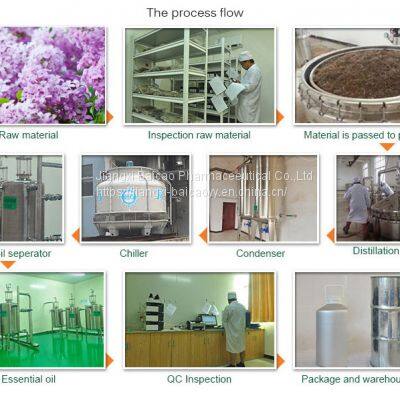 Factory Supply Natural Eugenol Oil Clove Oil Plant Essential Oil photo-3