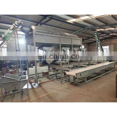 macadamia nut cracker walnut breaking machine almond shell shelling machine