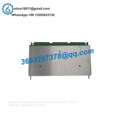 BENTLY 135137-01 Analog input/output module