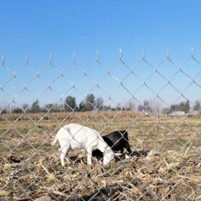 Chain Link Fence with Mill Test Report and Standard Compliant Materials