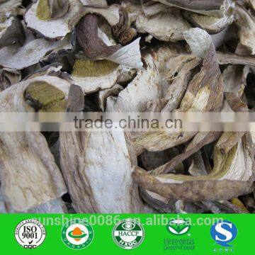 Mushrooms Product Type and Dried Style mushroom