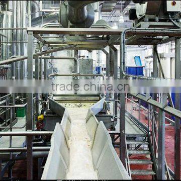 Practical Fully Automatic Compound Potato Chips processing Line