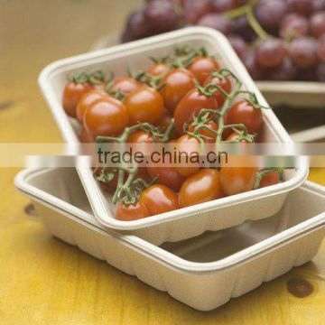 Eco-green 100% Biodegradable Freezer-safe Fruit Tray