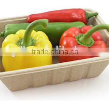 Eco-creative Freezer Safe Fruit Tray Wholesale