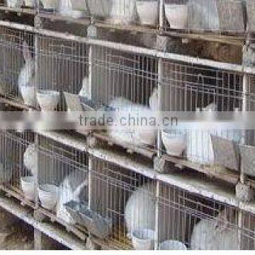 Animal Farm, Poultry Equipment, Rabbit Cage for Pet Cage