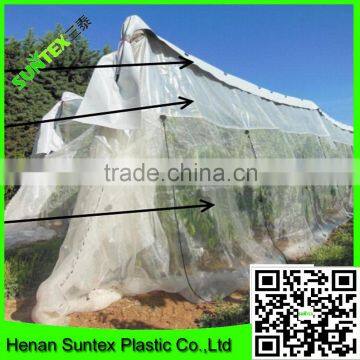Suntex High Quality HDPE Mono Filament Recycled Clear Insect Net,PE Woven Fine Mesh Aphids Repellent Nets photo-4