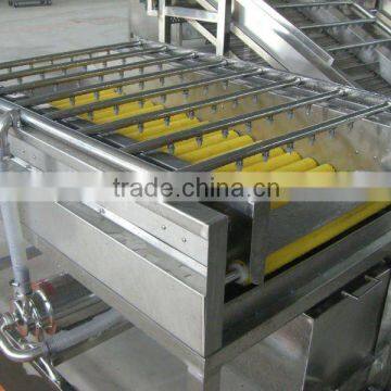 brush washing/brusher/washer/food processing machine