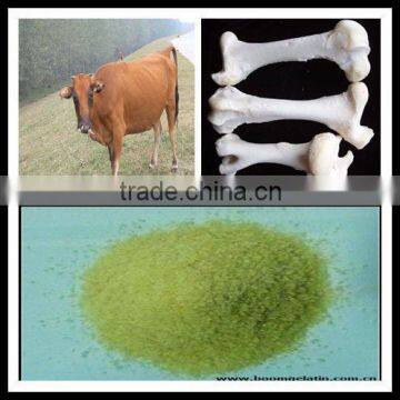 Bovine Bone Made in China