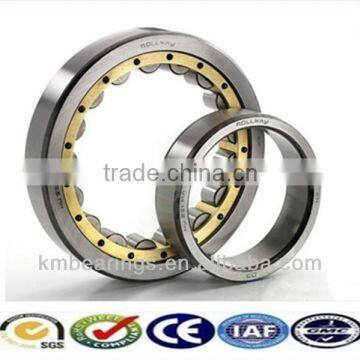 New! Cylindrical Roller Bearing nu19/500 with high quality!