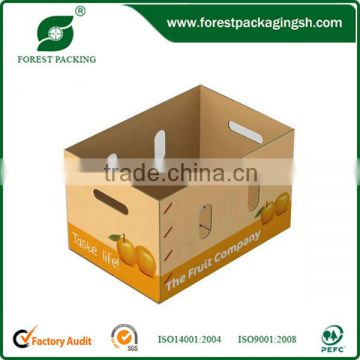 FRUIT CARTON BOX