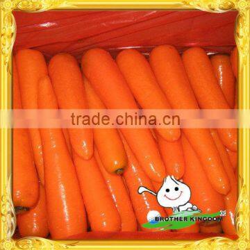 Chinese Fresh Carrot/carrots/Fresh baby carrots