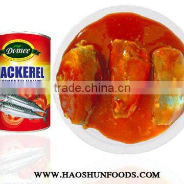 Canned Mackerel fish in Tomato Sauce