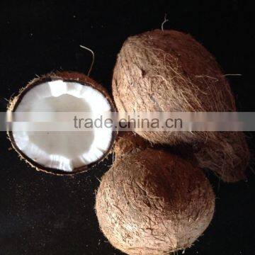 FRESH COCONUT PRICE