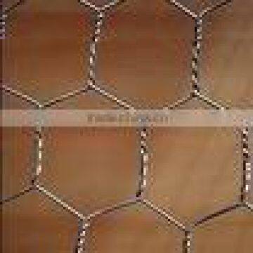 Chicken Wire Mesh