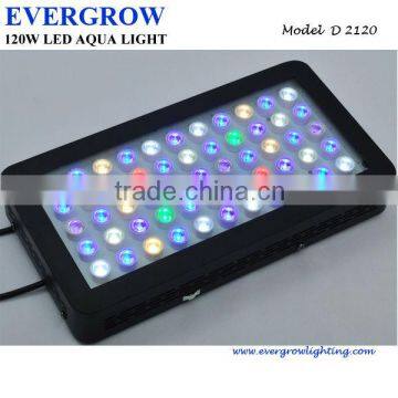 EverGrow 120w dimming led aquarium lights