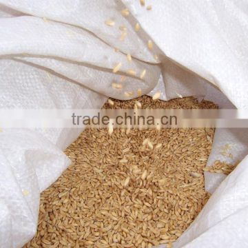 Durum Wheat