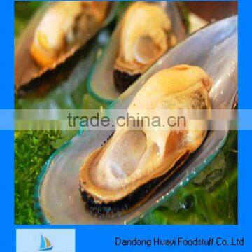 frozen half shell green mussel