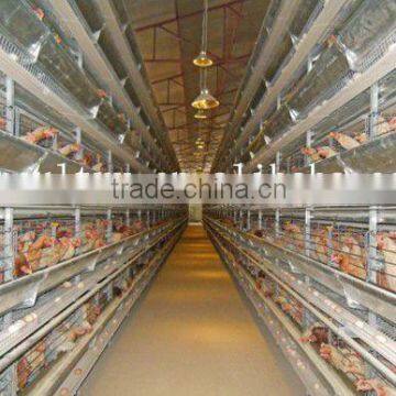 "H" type poultry cages