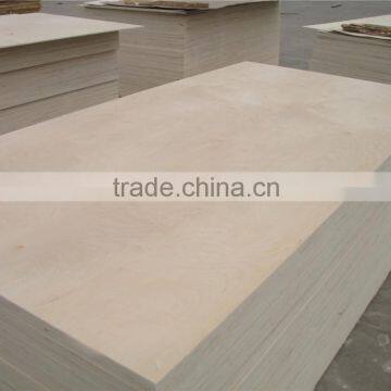 Poplar Core Birch Veneer Plywood photo-2