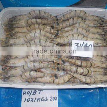 FROZEN HEAD ON BLACK TIGER SHRIMPS photo-4