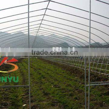 Single Span Vegetable Greenhouse Without Gutter photo-2