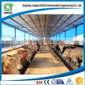 steel structure cowshed