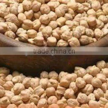 Chick pea kabuli variety with size ranging from 7mm-12mm