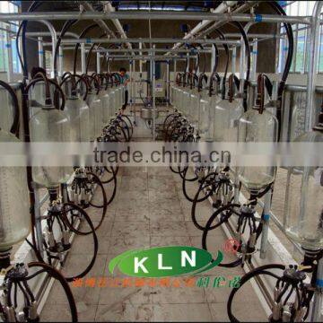 fish-bone type large milking parlor