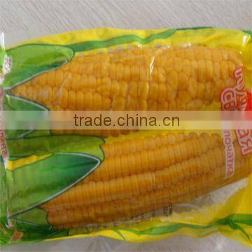 sweet corn on cob