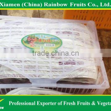 fresh thomson seedless grapes from China