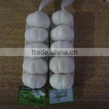 China Fresh Natural White Garlic photo-2
