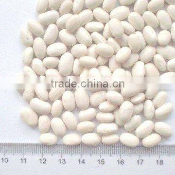white kideny beans ( crops 2013 )