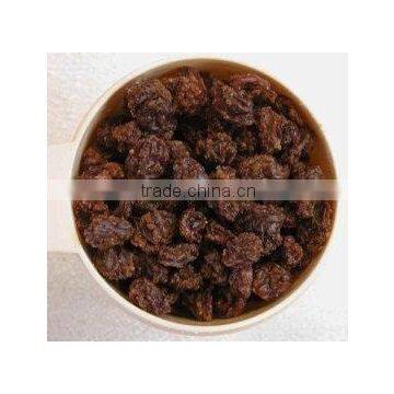 Good Xinjiang raisin for vinegar to first sale