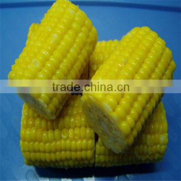 importers frozen sweet corn