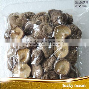 4-5 cm dried mushroom cut foot smooth mushroom with stem