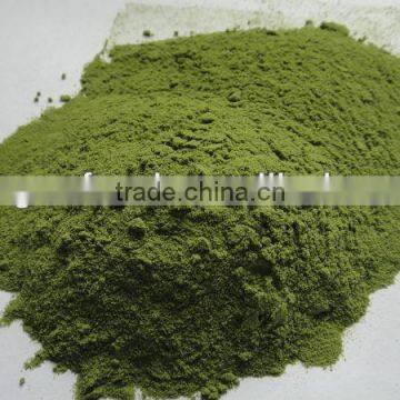 organic spinach powder