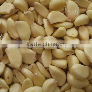 FX-128 Garlic Peeler/Shallot Peeling Machine With High Efficienty and CE Approved photo-2