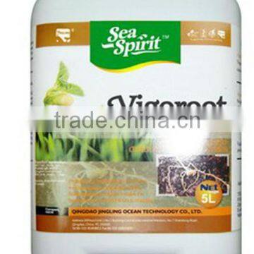 Hot Selling Liquid Organic Root Fertilizer Seaweed Fertilizer photo-2